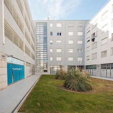 Golden Tulip * זאדאר