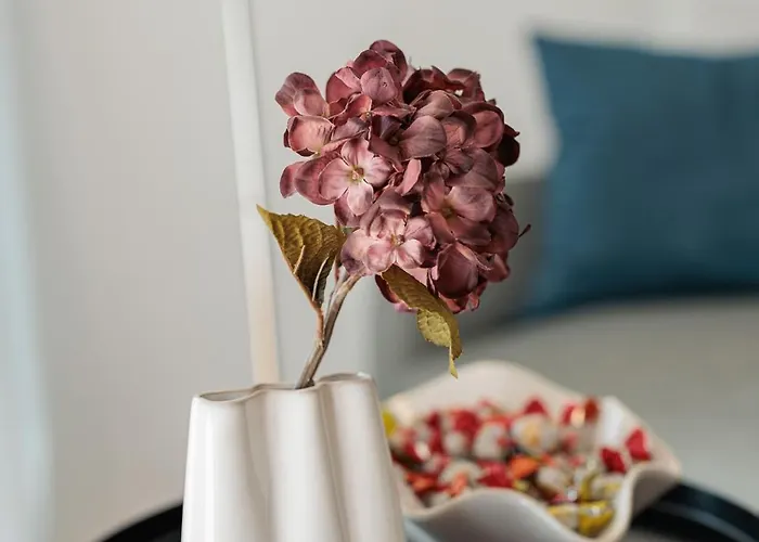 Apartment Golden Tulip *